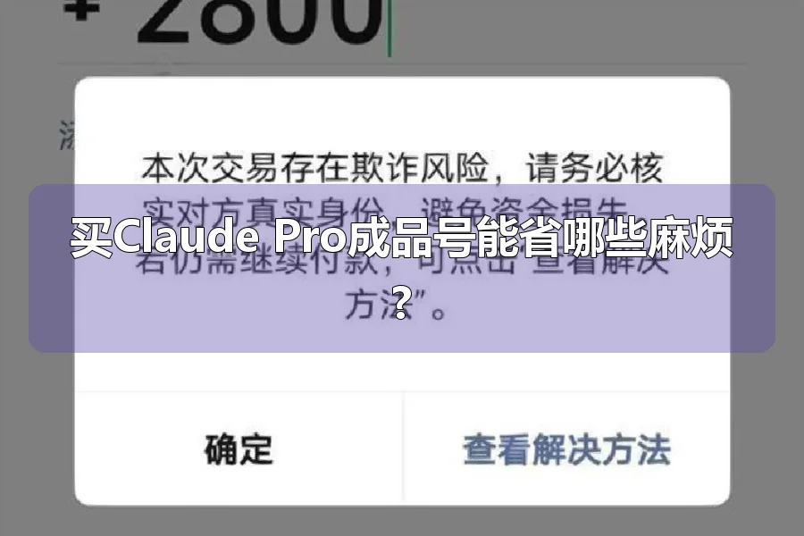 买Claude Pro成品号能省哪些麻烦?